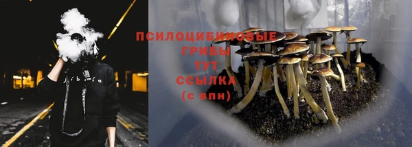 jwh Дмитровск