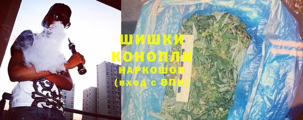 ешки Дмитриев
